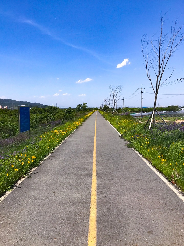 biycle path