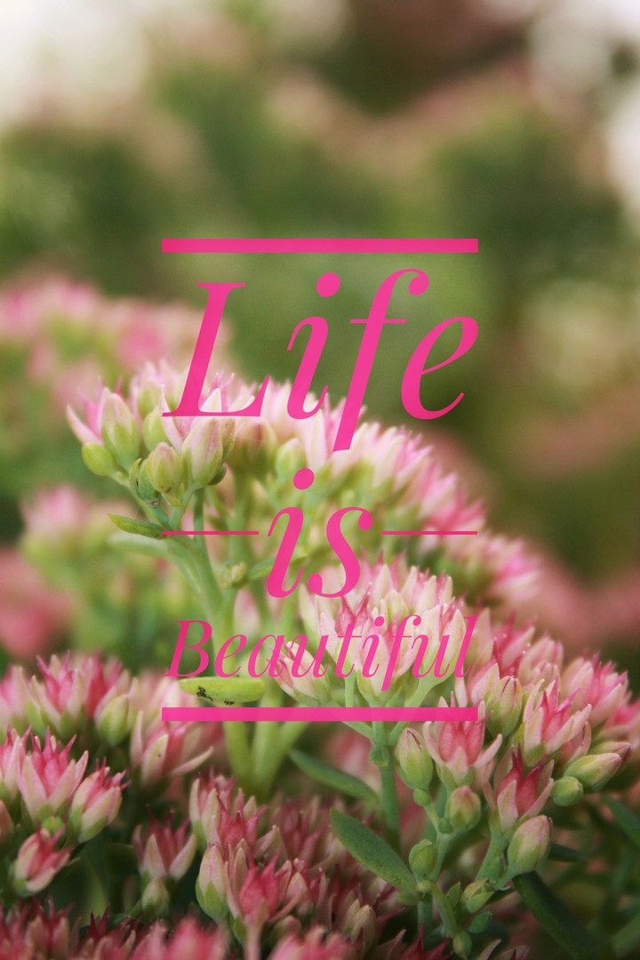 life is Beautiful