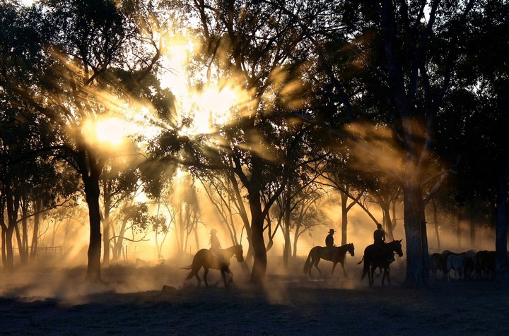 amazing Morning picture....