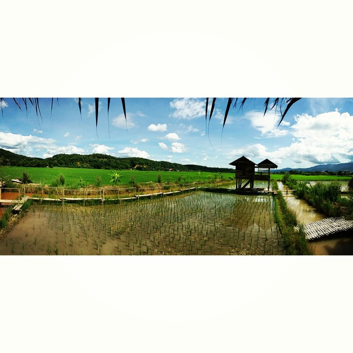 chiangmai