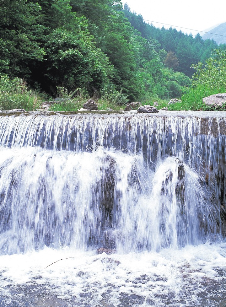 여름의전경