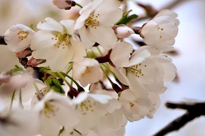 Springtime is near
