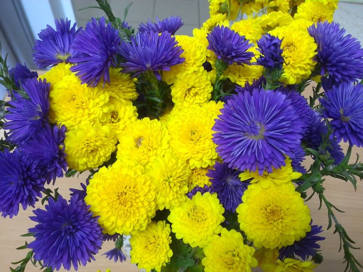 flovers