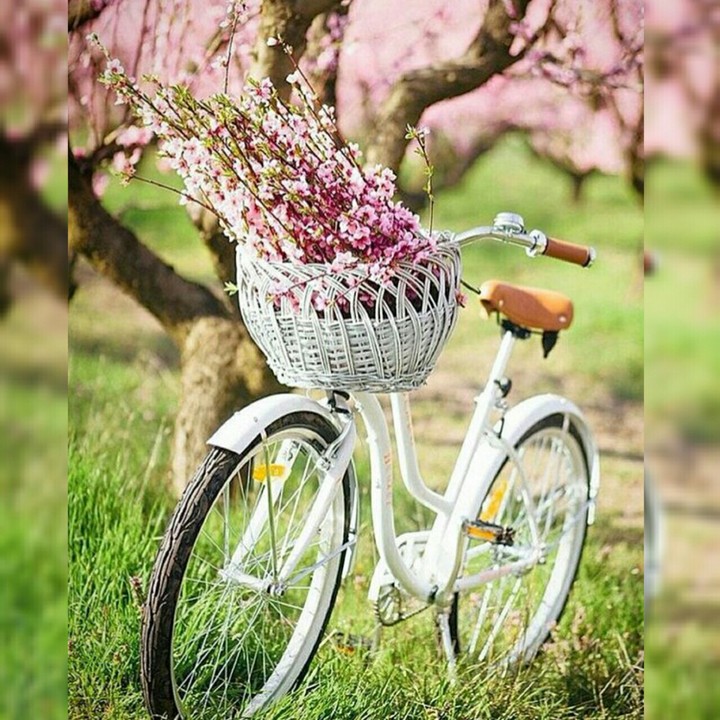 hermosa bicicleta