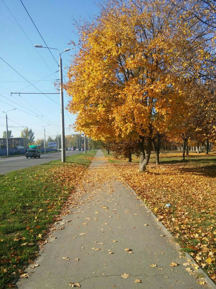 Осень
