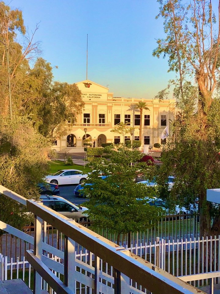 Rectoría Mexicali