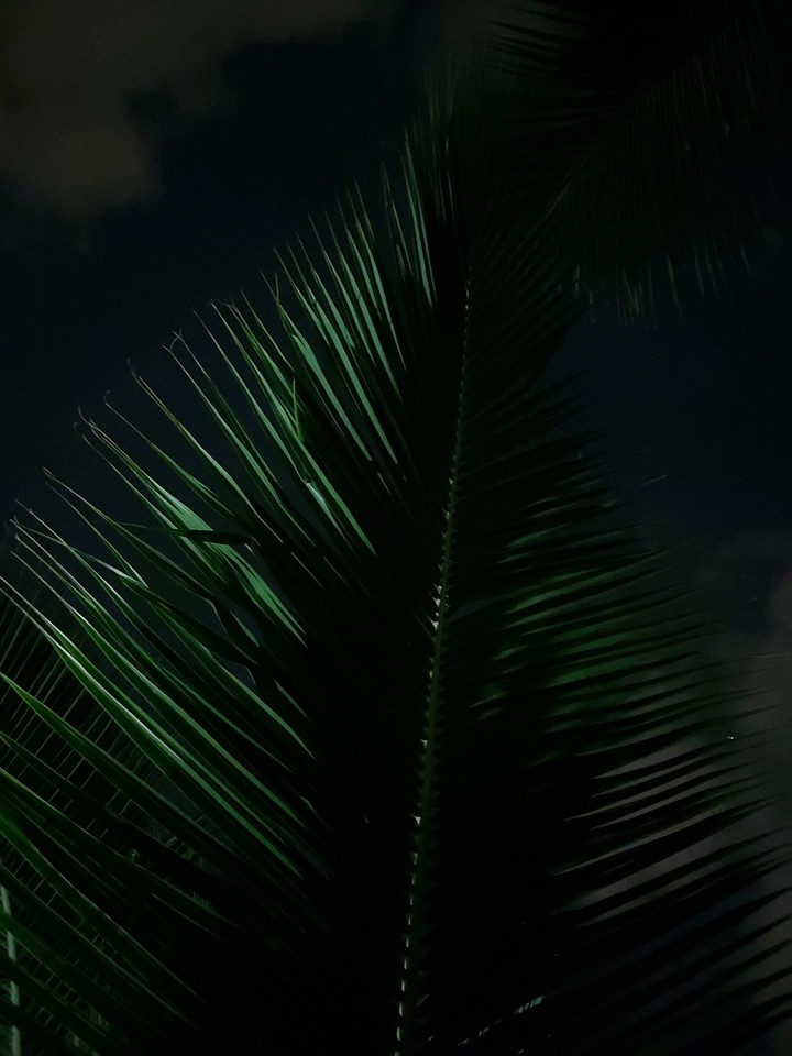 Towards the Sky