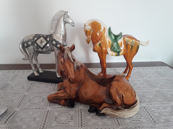 cavalos