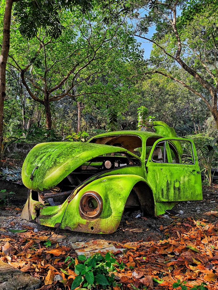 Old Green