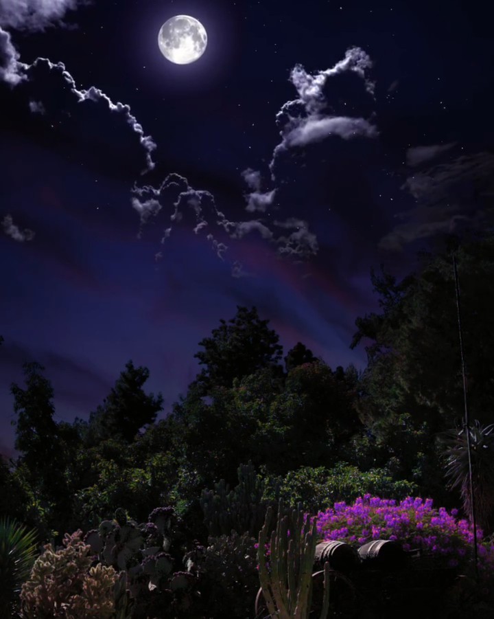 Moon