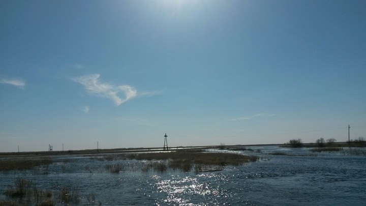 shore