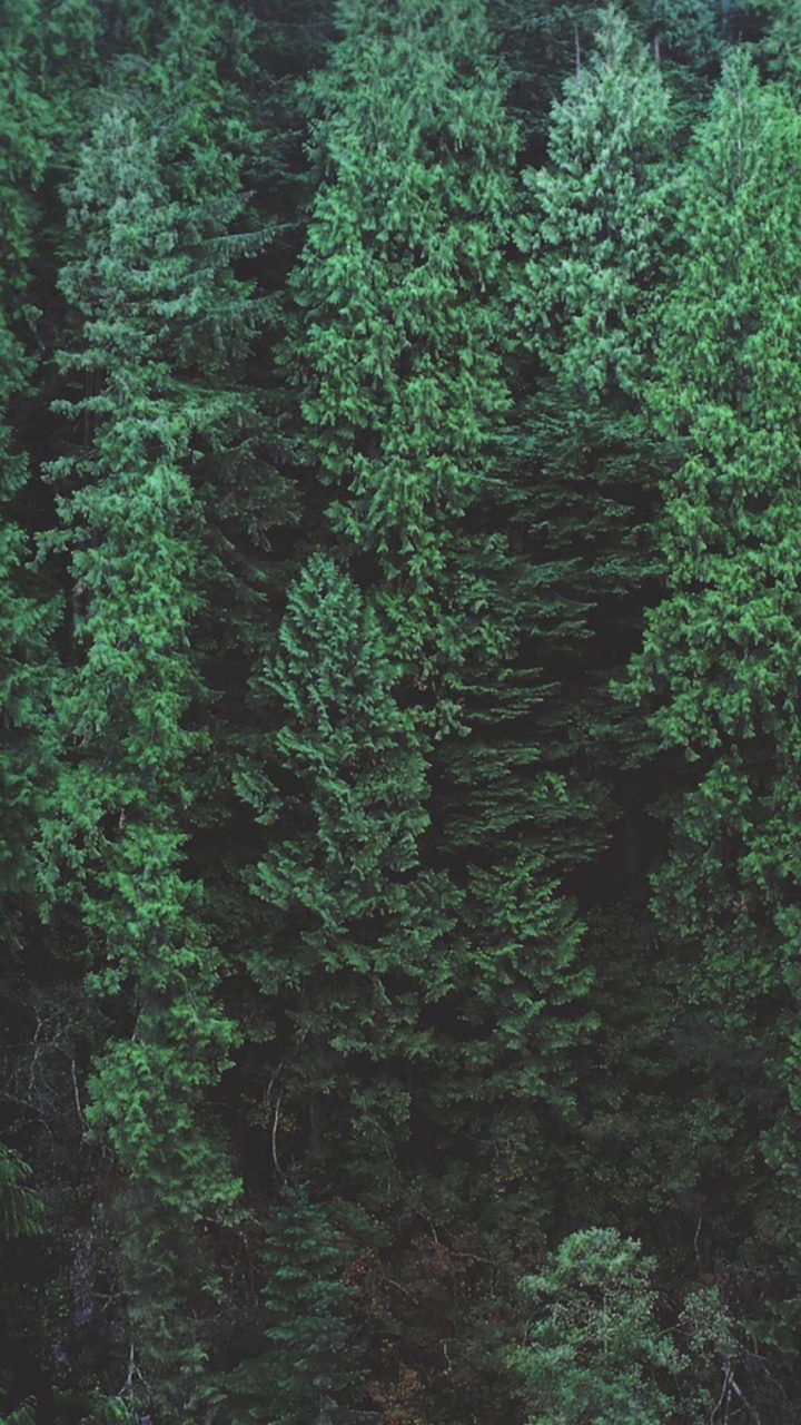 Beautiful nature