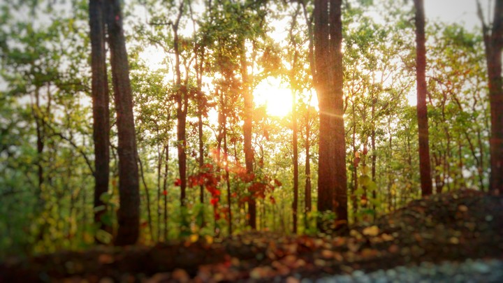 Sunshine