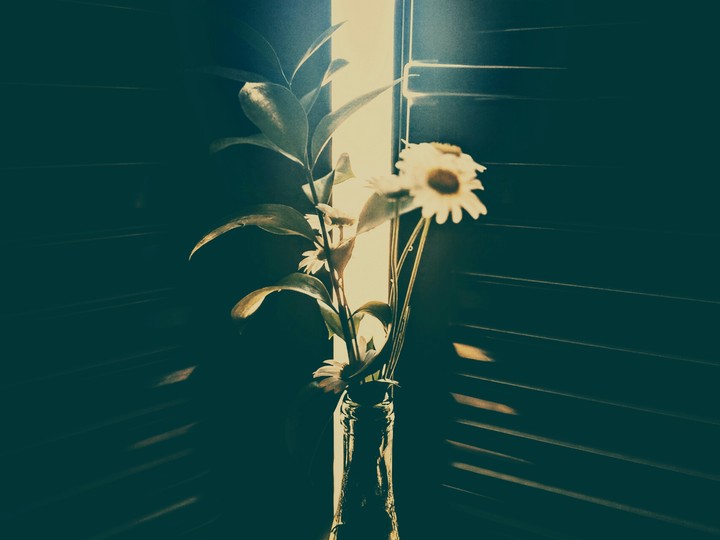 Beautiful flowers pot.