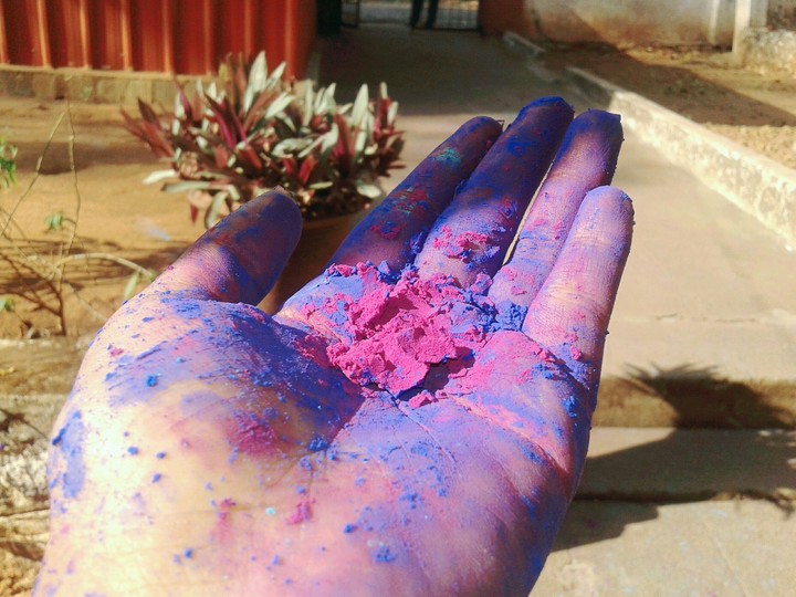 Holi