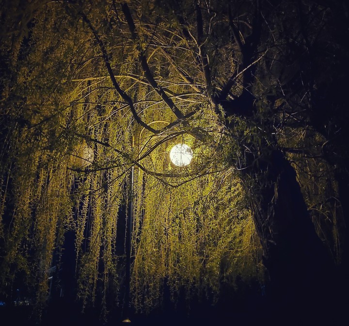 night eye