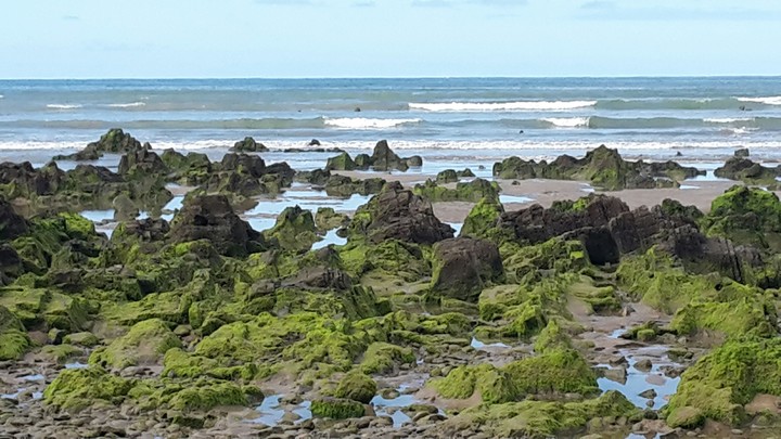 roca