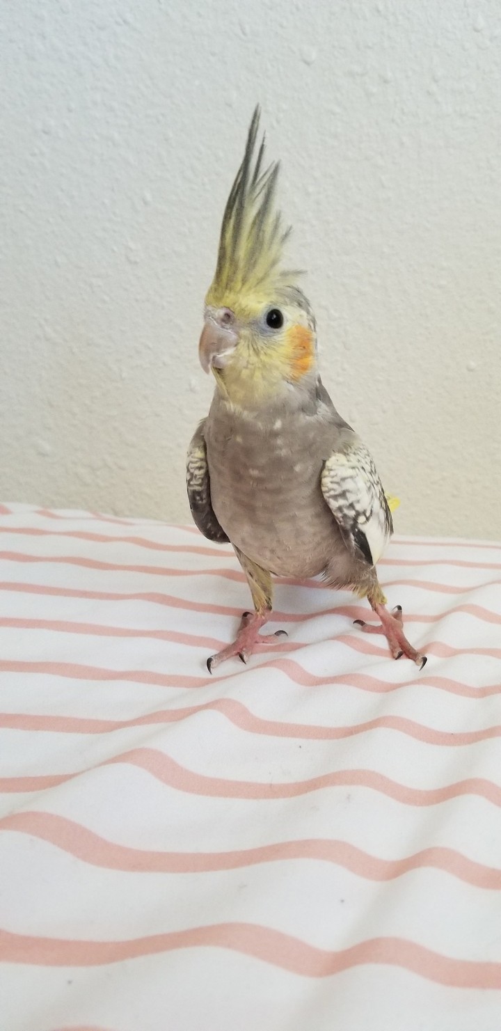 my ♥️