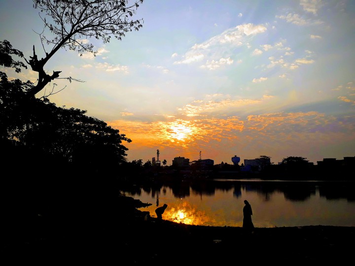 The Pond Sunshine