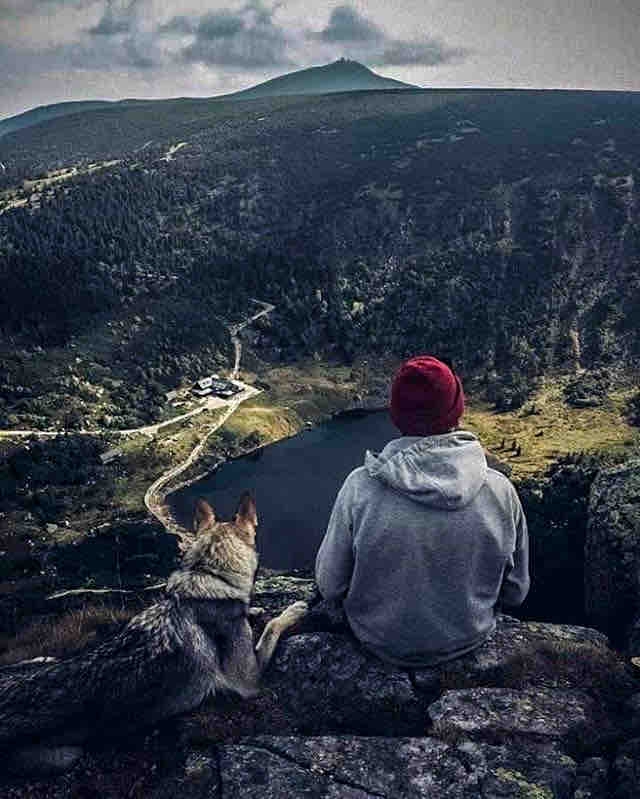friendship