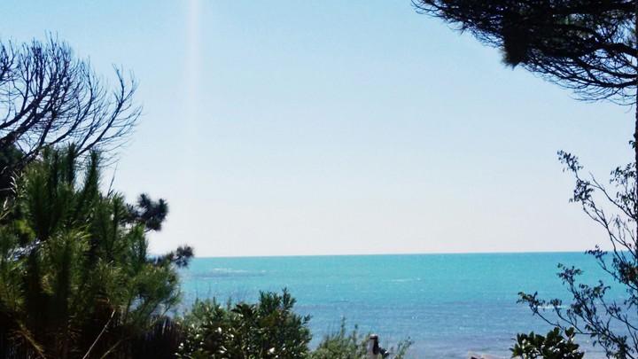 sea