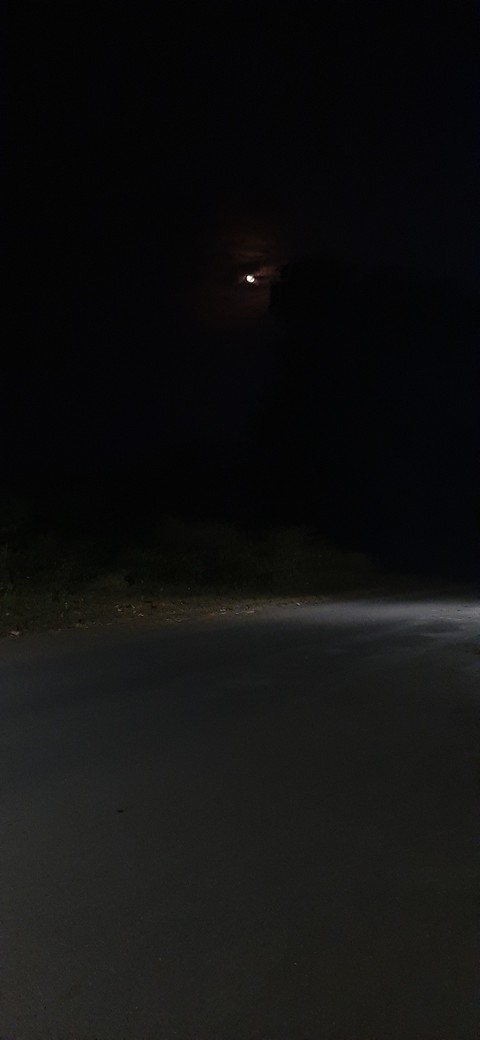 night