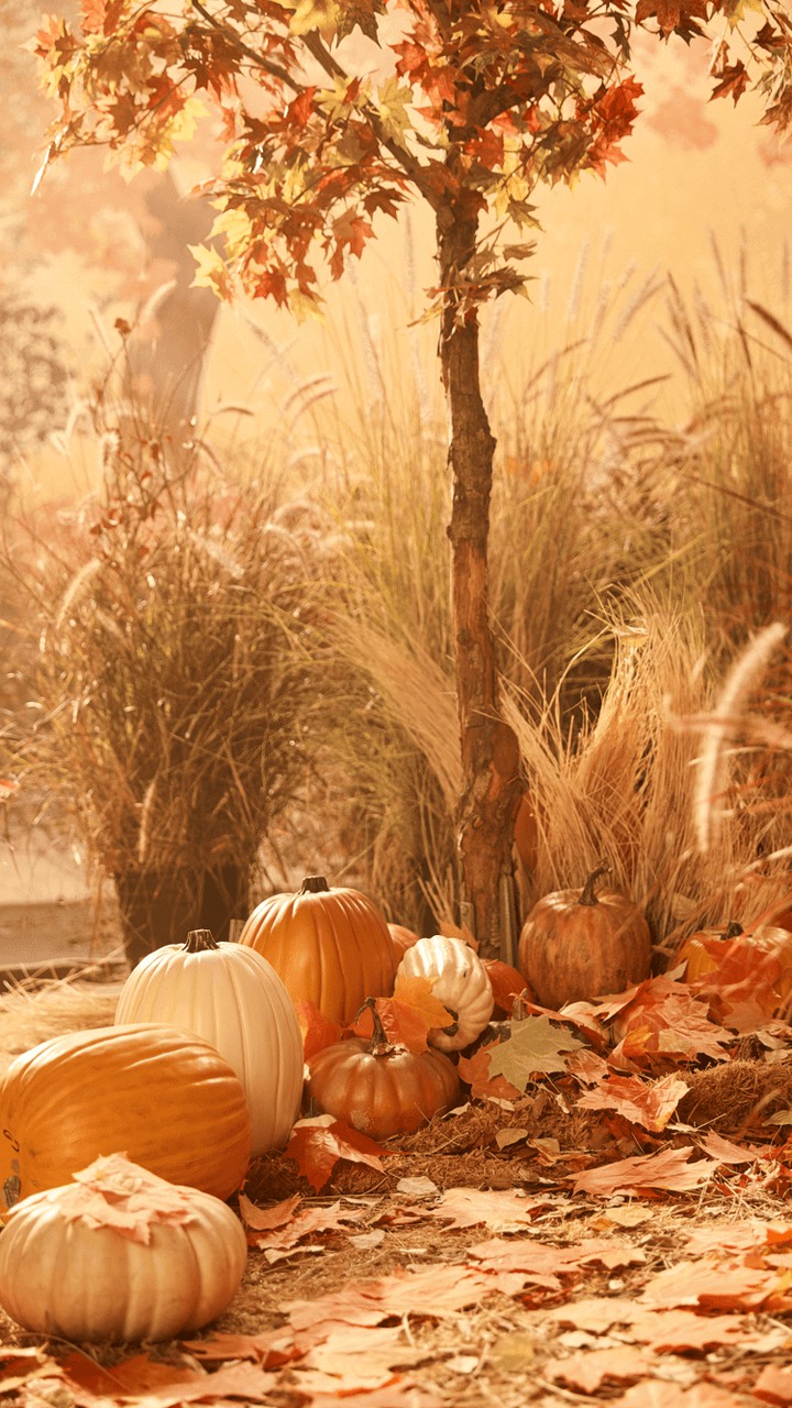 fall