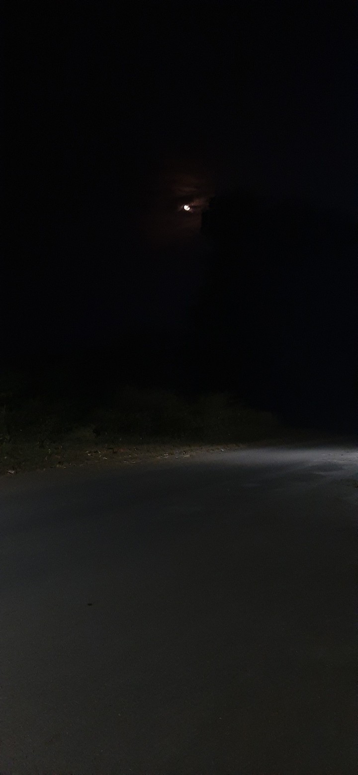night
