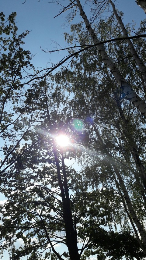 sun