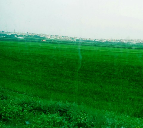 Irbid