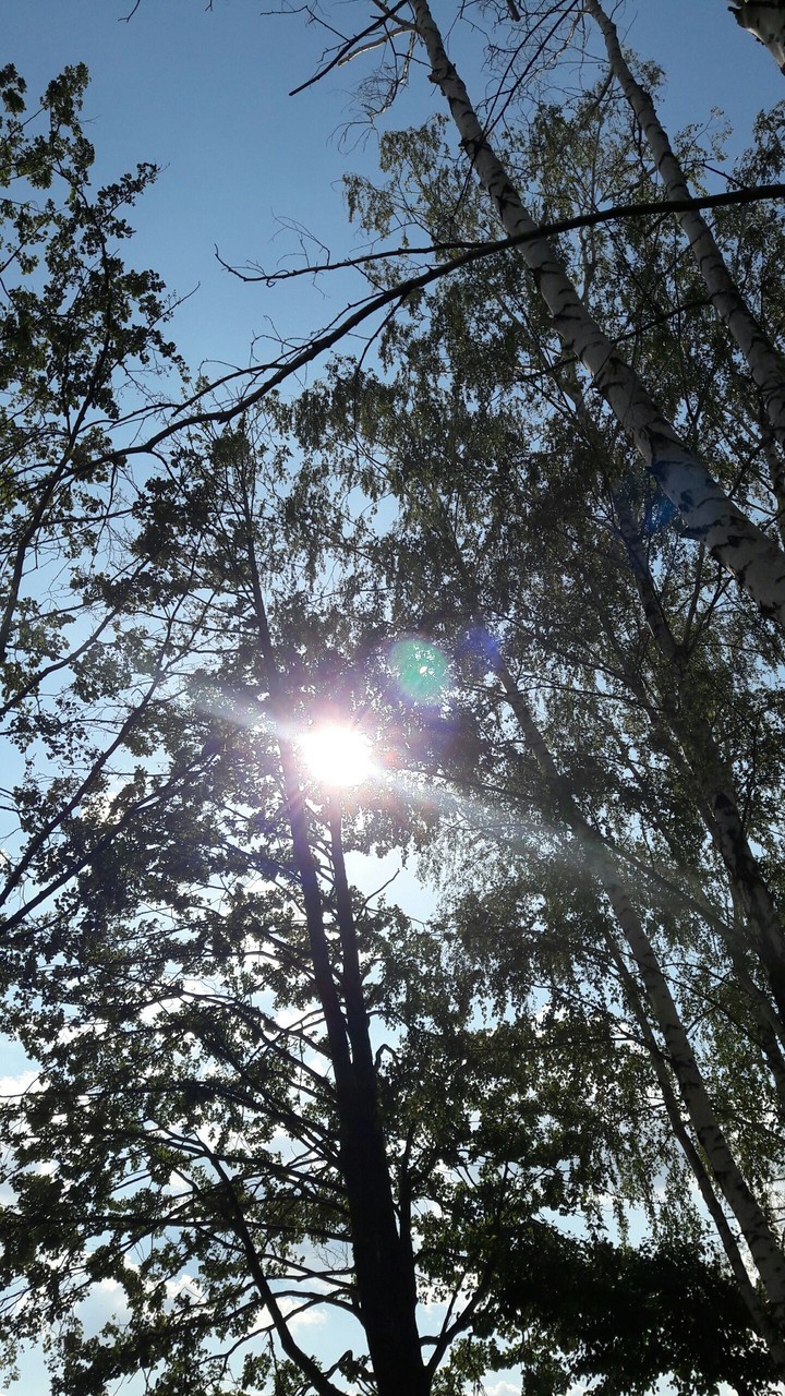 sun