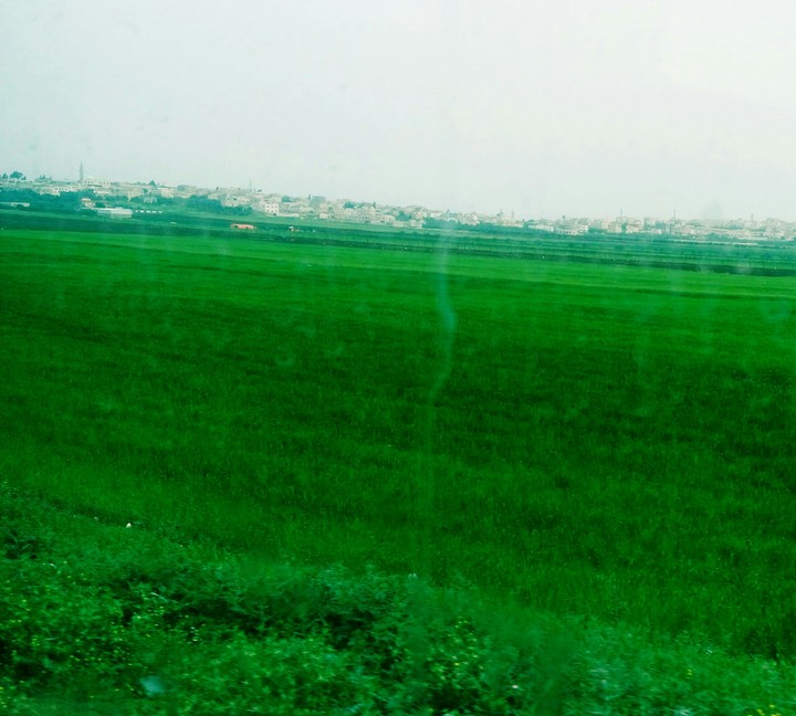Irbid