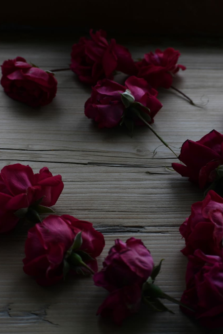 Rose wallpaper