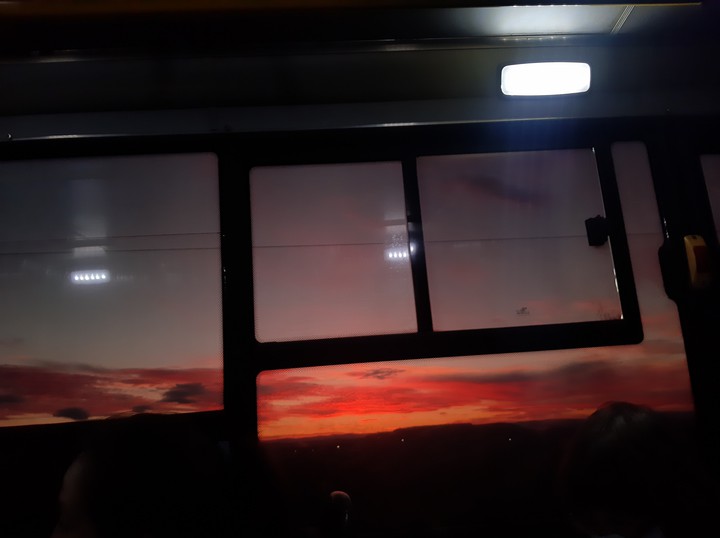 красота