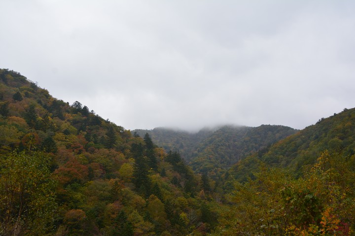 오대산이미지