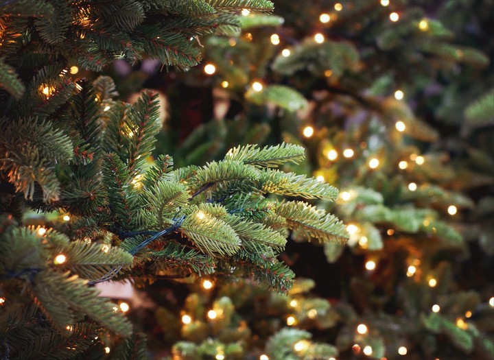 Christmas 