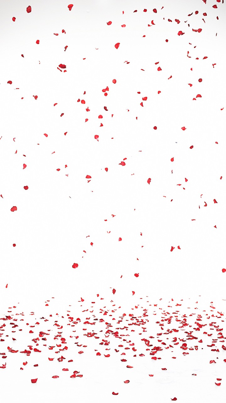 Petal Rain