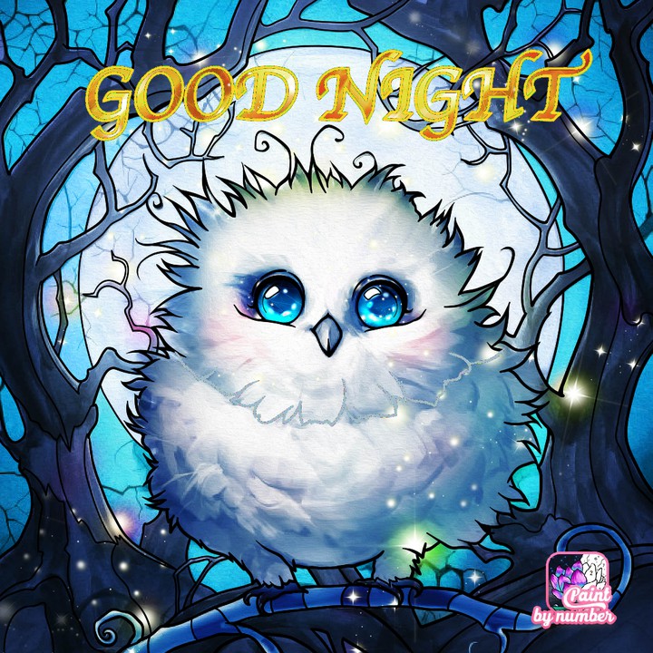 owl