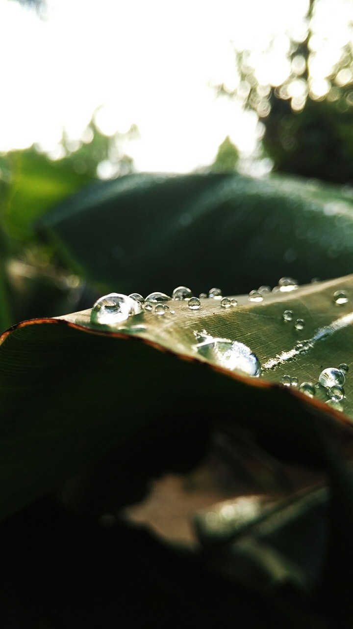waterdrop