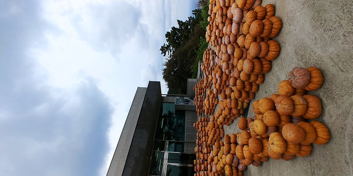 Ulleungdo Island