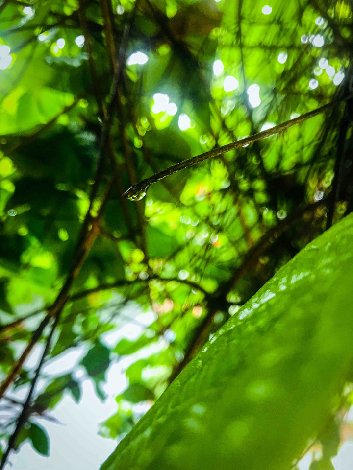 focus on little things