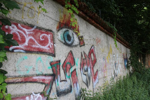 eye
