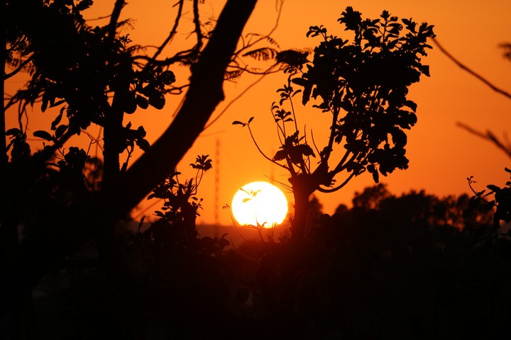 sunset