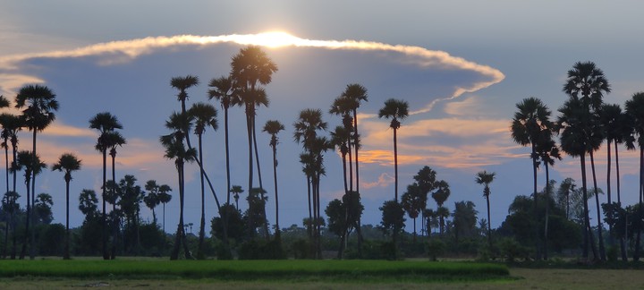 sun