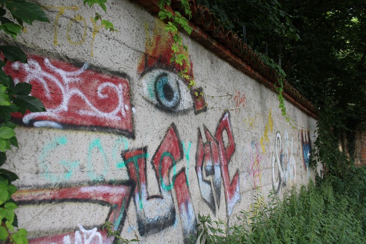 eye