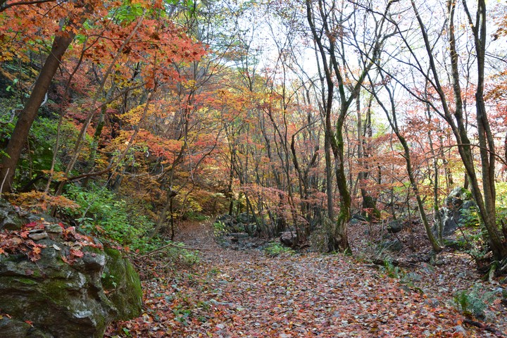 산이미지