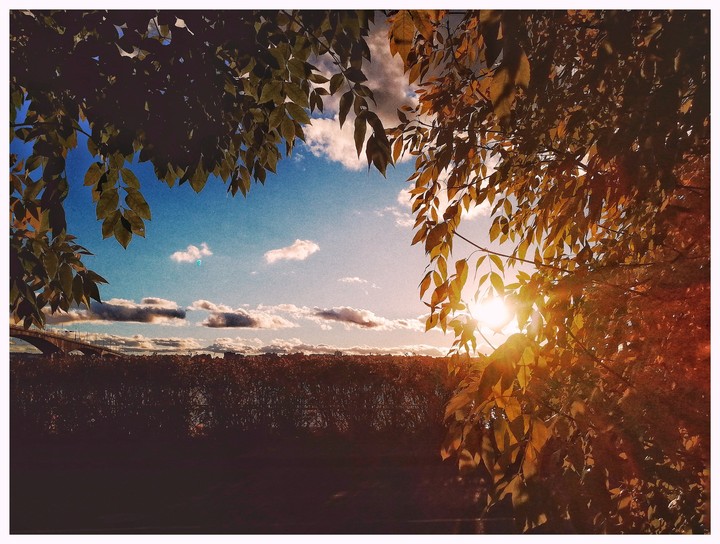осень