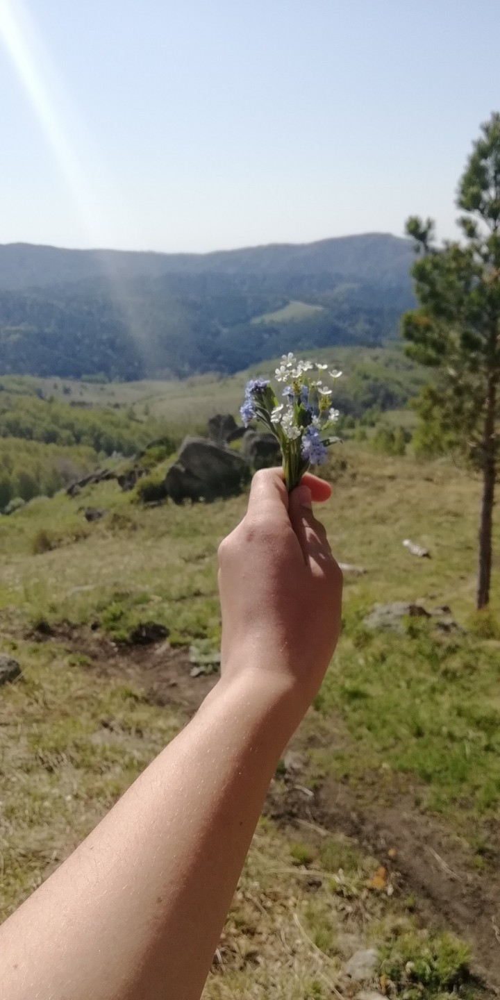 flowers)