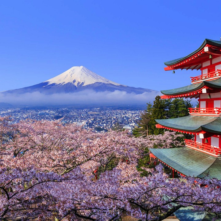 Mount Fuji
