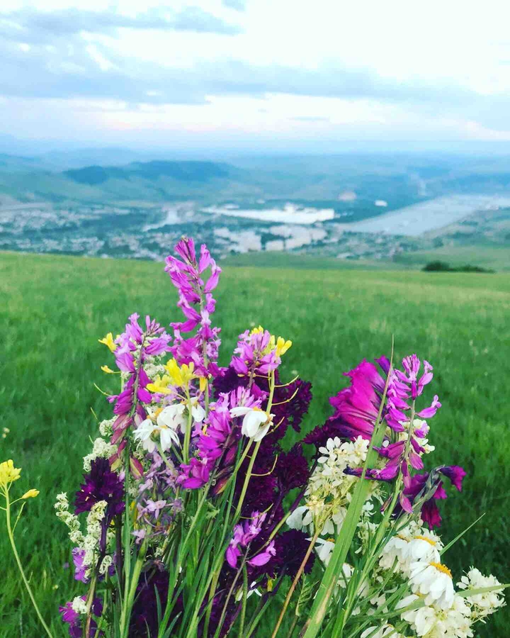 flowers